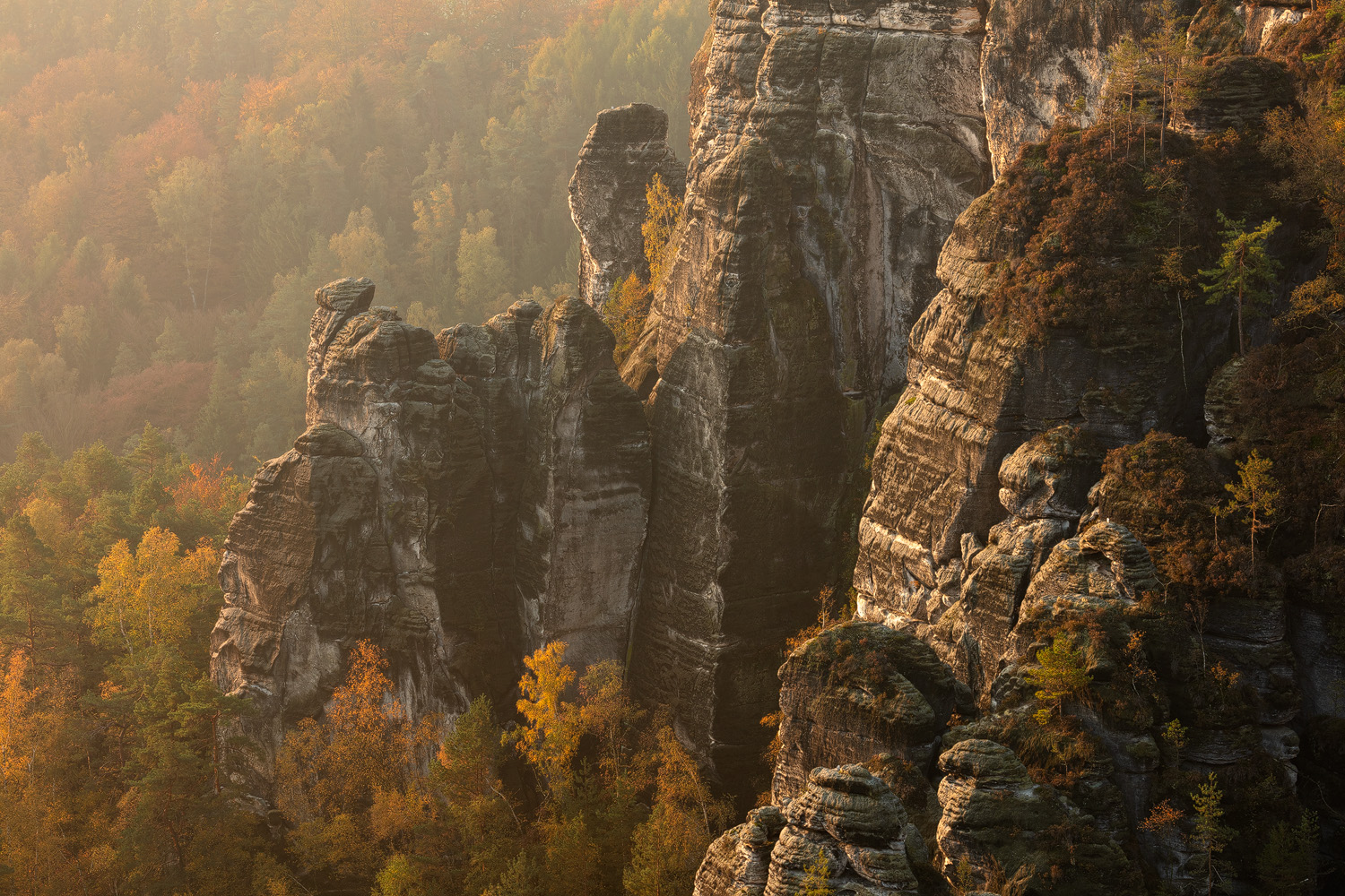 Leinwand – Morgensonne – Sächsische Schweiz – Tobias Richter Photographie